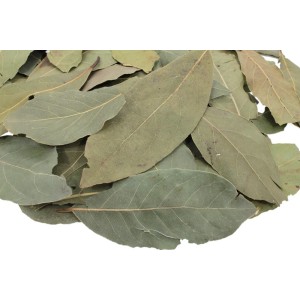 LIŚĆ LAUROWY 100G