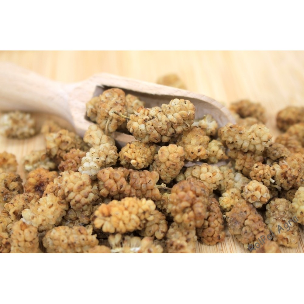 MORWA BIAŁA BEZ PESTEK 500G