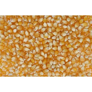 POPCORN ZIARNO 200G.