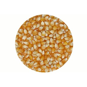 POPCORN ZIARNO 5kg