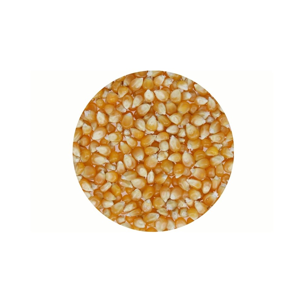 POPCORN ZIARNO 5kg
